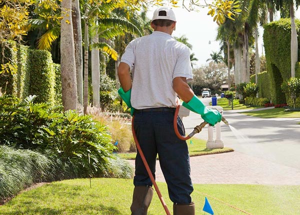 About Mary Alice KY Pest Control